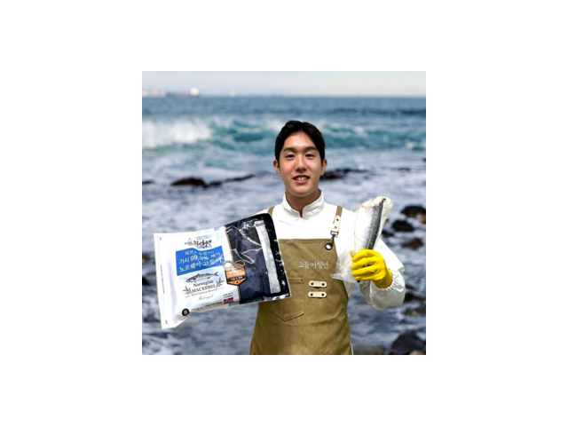 고등어청년 추천 및 가격 비교 장단점 정리