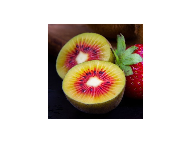 제주도레드키위2kg 가격정보 Best 상품순위 알아보기