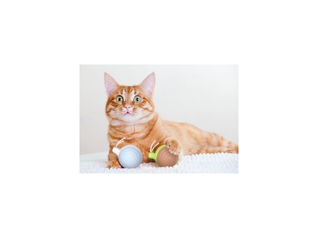 냥템점자동장난감 실용적이면서 세련된 제품 추천