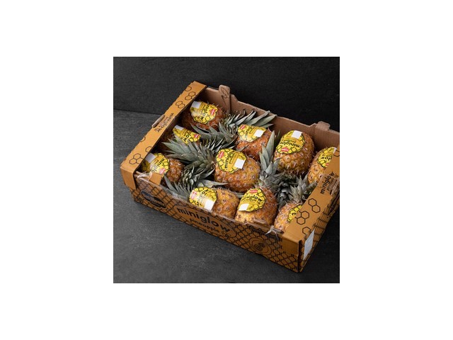 허니글로우파인애플개당1.3kg내외2수 추천 TOP10 쇼핑 정보 정리