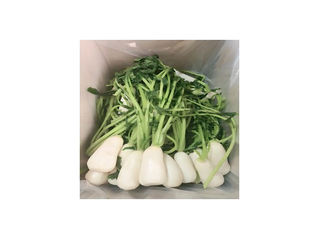 절임총각김치 특별한 순간을 위한 아이템