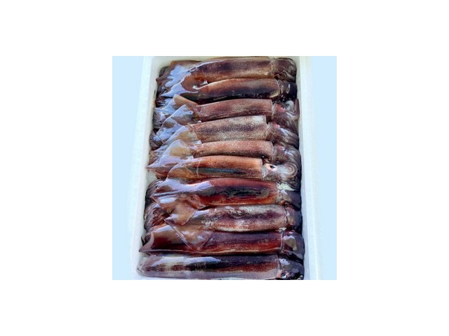 태안신진도냉동오징어 추천 소비자가 선택한 재구매율 1위 아이템