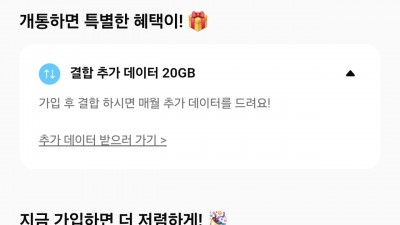 핀다이렉트100기가+5mps 3300원